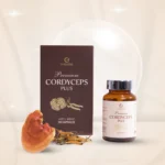 Premium Cordyceps Plus