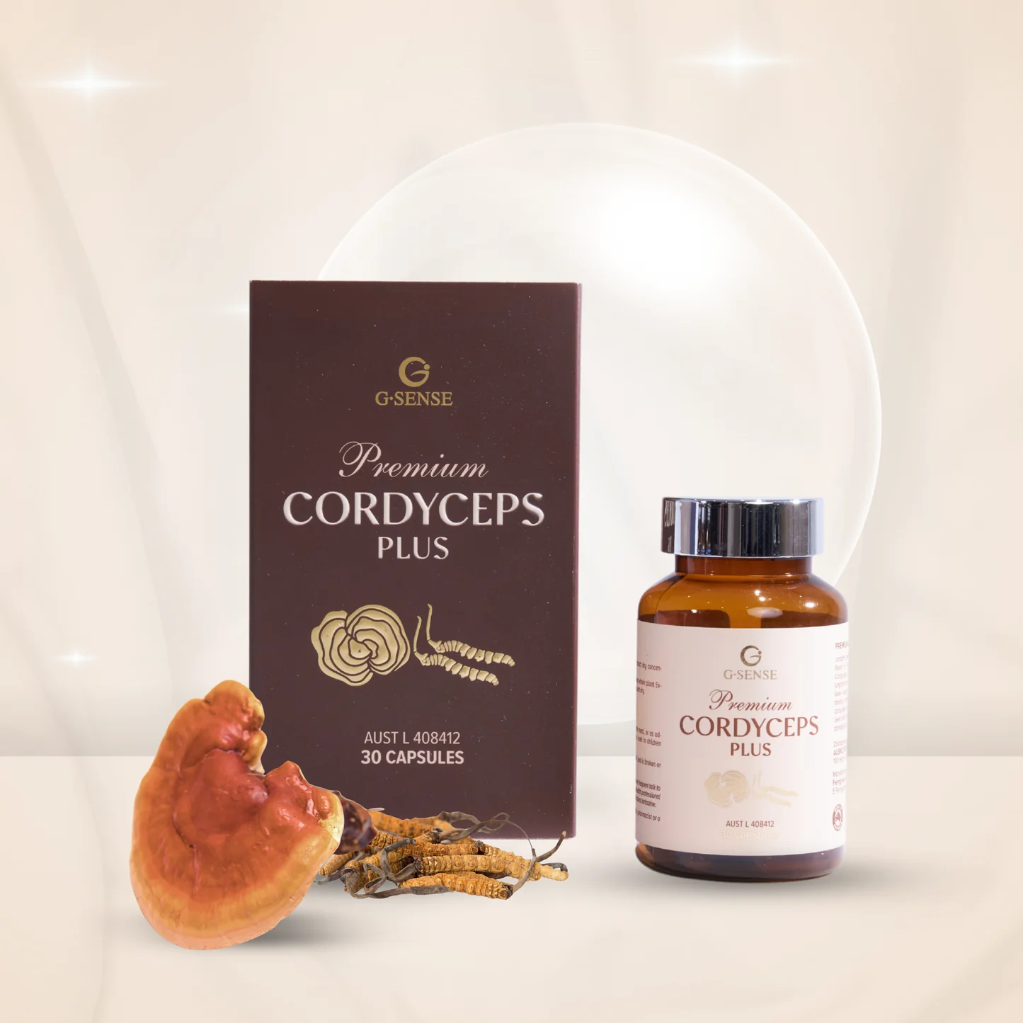 Cordyceps_4 Premium Cordyceps Plus - Image 1